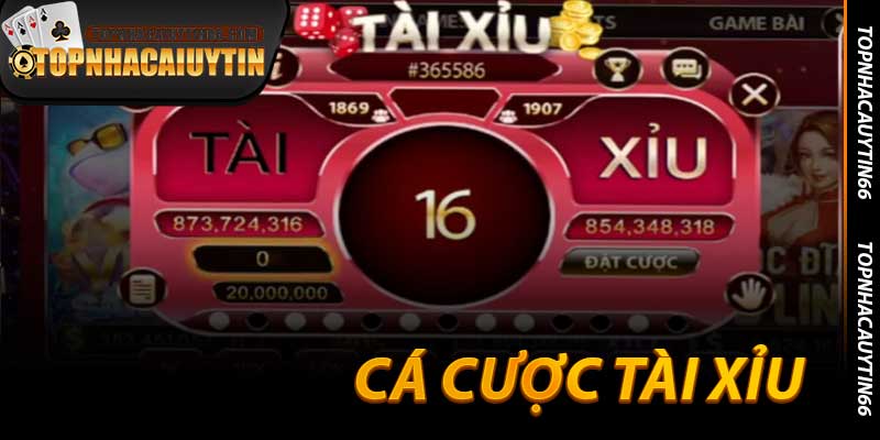 Cá Cược Tài Xỉu - Sân Chơi 2025 Đỉnh Nóc Của Những Cược Thủ