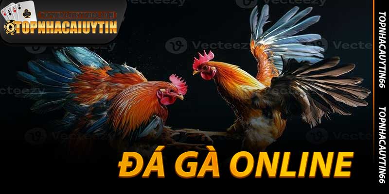 Đá Gà Online - Trò Chơi Cá Cược, Chay Bo Kịch Tính 2025