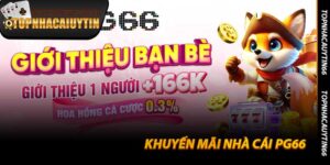 Khuyến Mãi Nhà Cái PG66 - Hot Cùng Topnhacaiuytin66 2025