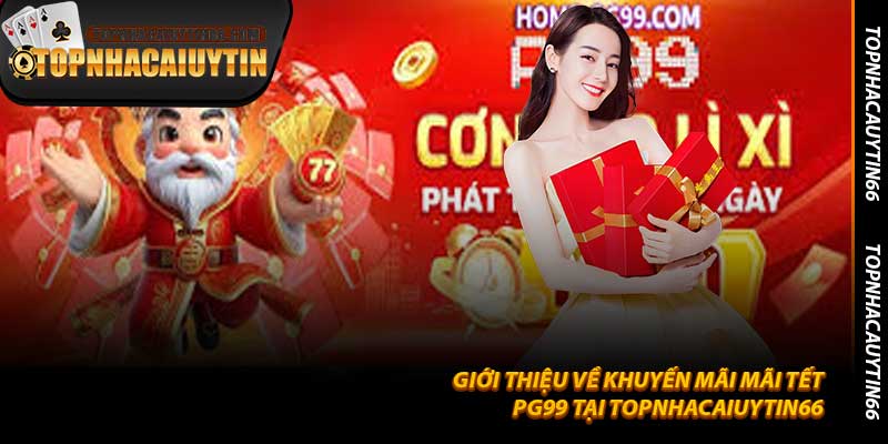 Giới thiệu về Khuyến Mãi Mãi Tết PG99 Tại Topnhacaiuytin66