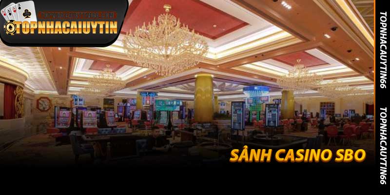 Sảnh Casino SBO - Sân Chơi Live Dealer Chân Thực 2026